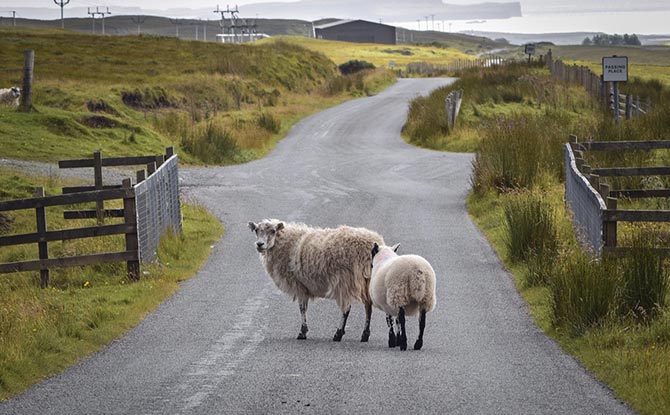 贵阳市某某有限公司